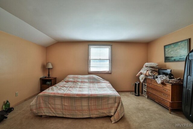 4610 Harris Hill Rd, Clarence, NY 14221 - photo 42