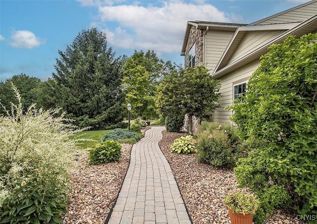 7991 Austrian Pine Cir, Pompey, NY 13104 - view of yard