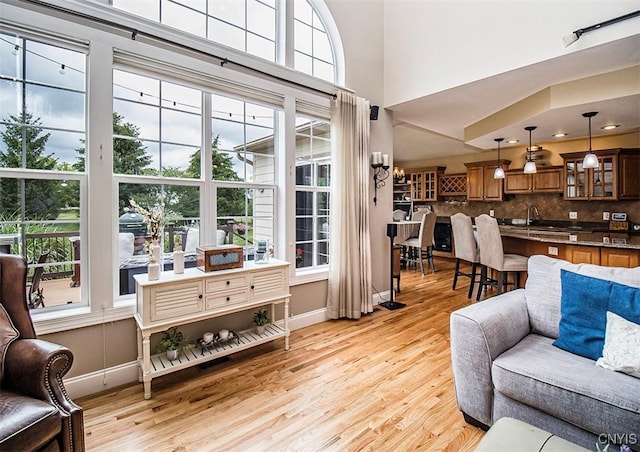 7991 Austrian Pine Cir, Pompey, NY 13104 - living room with plenty of natural light and light wood-style floors