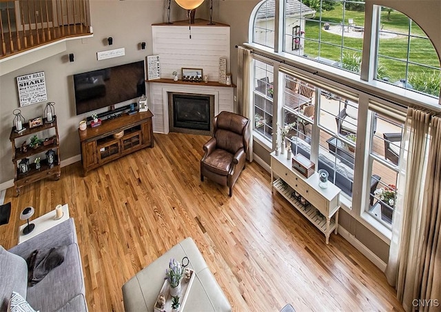 7991 Austrian Pine Cir, Pompey, NY 13104 - living area featuring light wood-type flooring and a glass covered fireplace