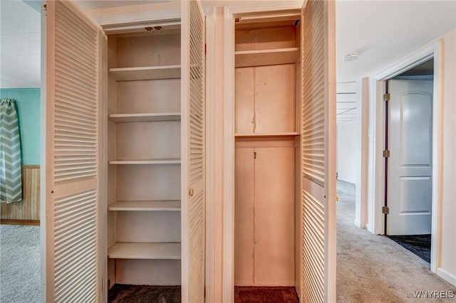 5910 Edgewood Dr, Niagara, NY 14304 - view of closet
