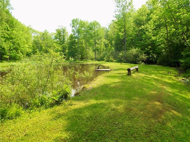 173 Bristol Rd, Otsego, NY 13348 - photo 19