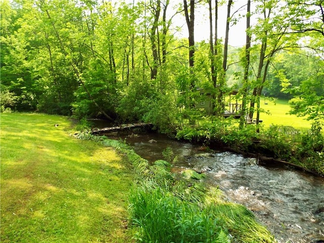 173 Bristol Rd, Otsego, NY 13348 - photo 22