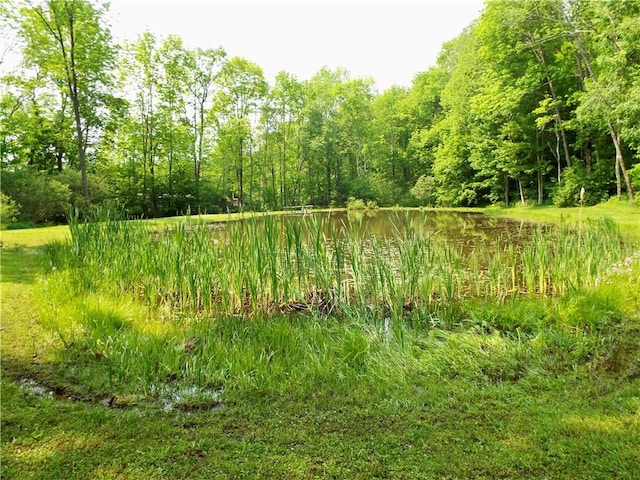 173 Bristol Rd, Otsego, NY 13348 - photo 20