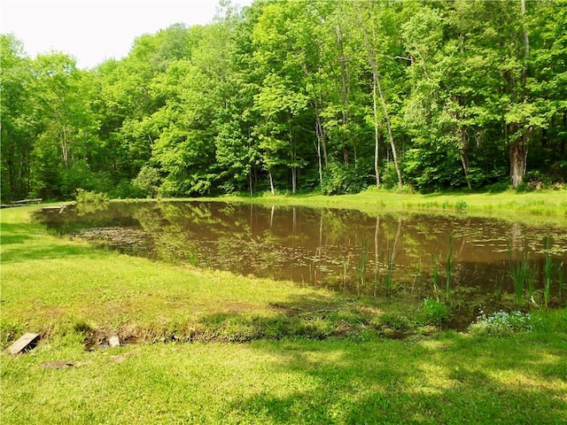 173 Bristol Rd, Otsego, NY 13348 - photo 17