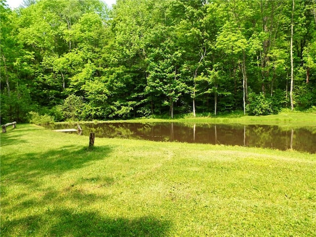 173 Bristol Rd, Otsego, NY 13348 - photo 18