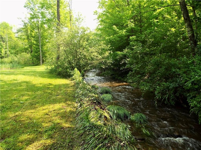 173 Bristol Rd, Otsego, NY 13348 - photo 24