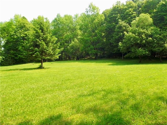 173 Bristol Rd, Otsego, NY 13348 - photo 32