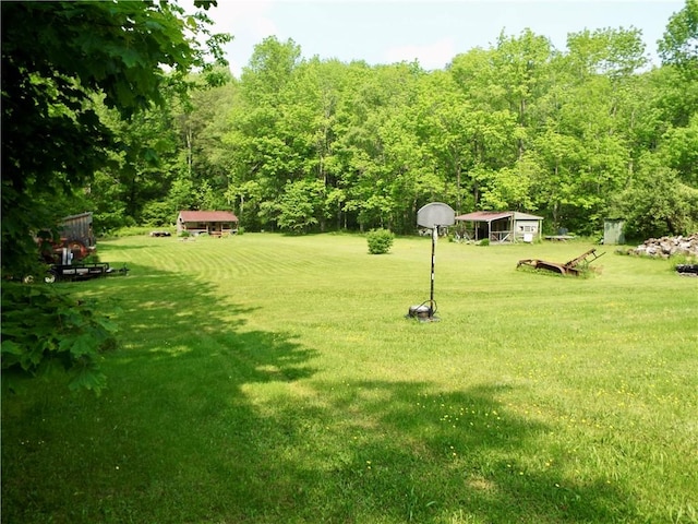 173 Bristol Rd, Otsego, NY 13348 - photo 10