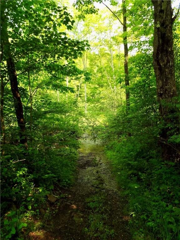 173 Bristol Rd, Otsego, NY 13348 - photo 28