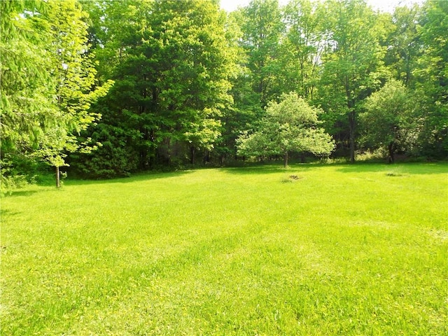 173 Bristol Rd, Otsego, NY 13348 - photo 31