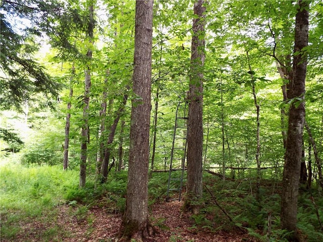 173 Bristol Rd, Otsego, NY 13348 - photo 34