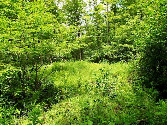173 Bristol Rd, Otsego, NY 13348 - photo 38