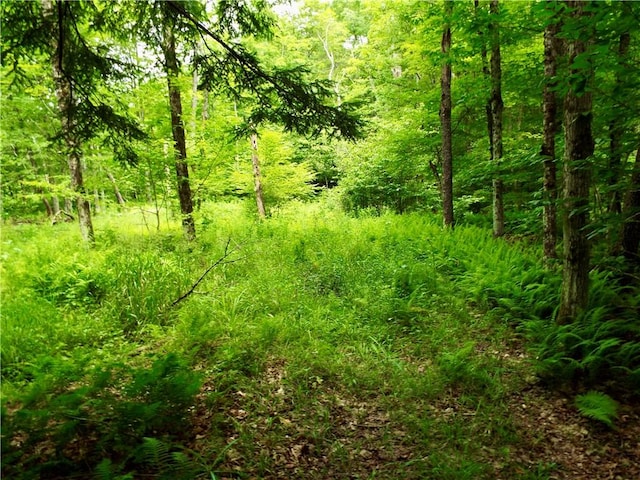 173 Bristol Rd, Otsego, NY 13348 - photo 39