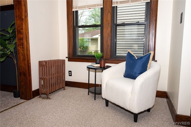 2912 Eggert Rd, Tonawanda, NY 14150 - sitting room with radiator heating unit and carpet flooring