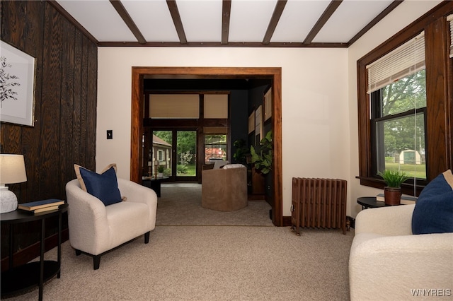 2912 Eggert Rd, Tonawanda, NY 14150 - living area featuring radiator heating unit, light colored carpet, plenty of natural light, and beamed ceiling
