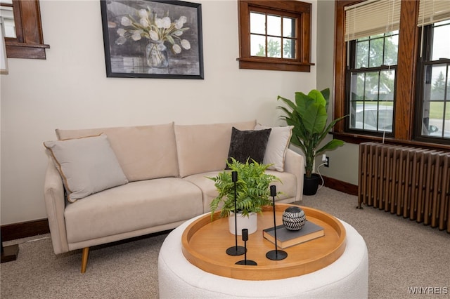 2912 Eggert Rd, Tonawanda, NY 14150 - living area with radiator heating unit and carpet floors