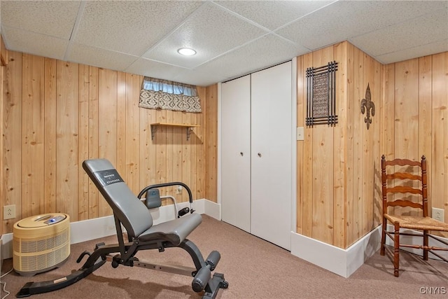 511 Drexler St, Salina, NY 13088 - exercise area with wooden walls, carpet, and a paneled ceiling