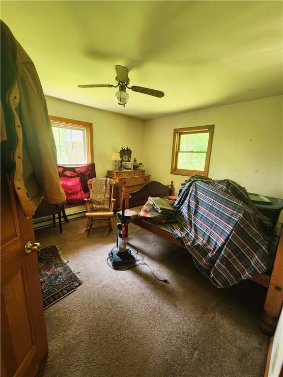142 John Smith Rd, Pharsalia, NY 13844 - carpeted bedroom with multiple windows and ceiling fan