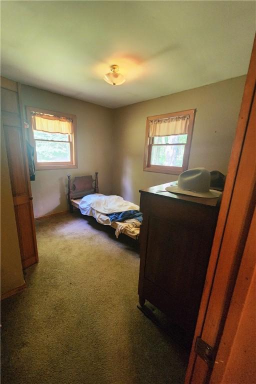 142 John Smith Rd, Pharsalia, NY 13844 - bedroom with multiple windows and carpet