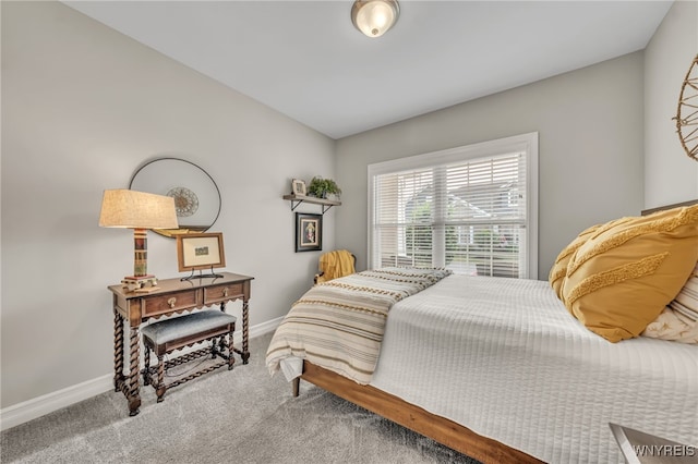 9443 Heritage Path Unit B, Clarence, NY 14032 - bedroom with baseboards and carpet floors