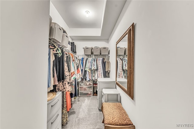 9443 Heritage Path Unit B, Clarence, NY 14032 - spacious closet with carpet