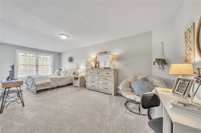 9443 Heritage Path Unit B, Clarence, NY 14032 - view of carpeted bedroom