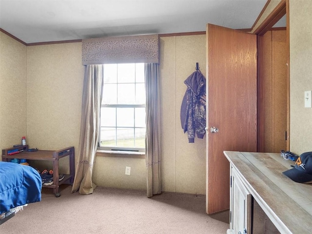 7277 Maple Ave, Sodus, NY 14551 - photo 46