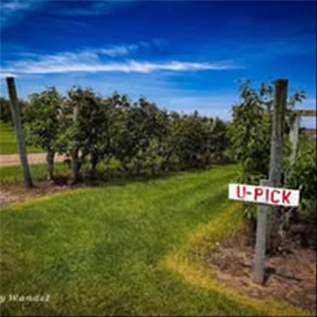 7277 Maple Ave, Sodus, NY 14551 - photo 49