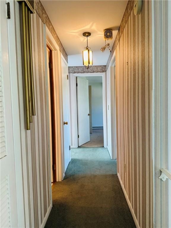 55 Wegman St, Sennett, NY 13021 - hall with carpet and wallpapered walls