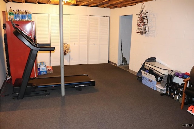 115 Meaney Cir, Scriba, NY 13126 - exercise area with concrete block wall