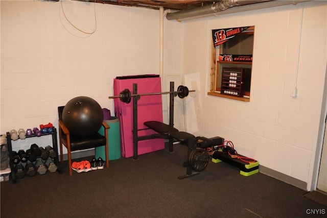 115 Meaney Cir, Scriba, NY 13126 - workout area featuring concrete block wall