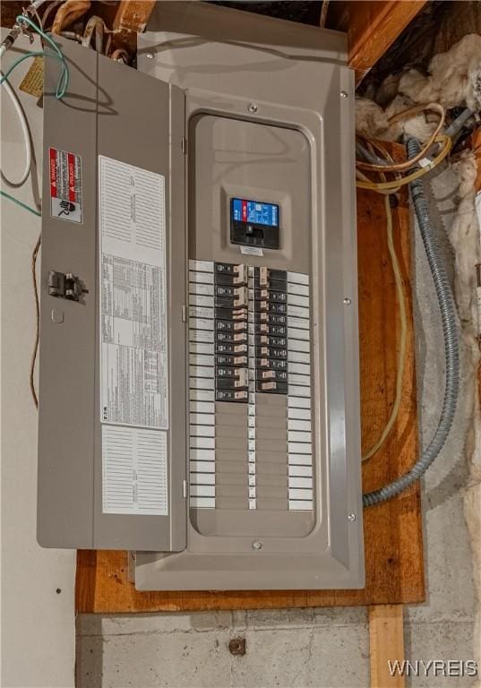 283 Erin Rd, Ridgeway, NY 14103 - utilities with electric panel