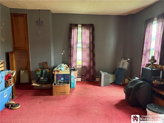 193 N Portage, Westfield, NY 14787 - photo 16