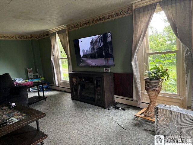 193 N Portage, Westfield, NY 14787 - photo 21