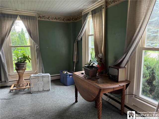 193 N Portage, Westfield, NY 14787 - photo 22