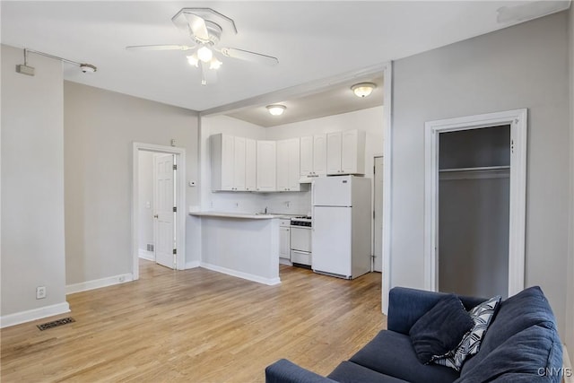 101 Comstock Ave, Syracuse, NY 13210 - living room featuring ceiling fan and light wood finished floors