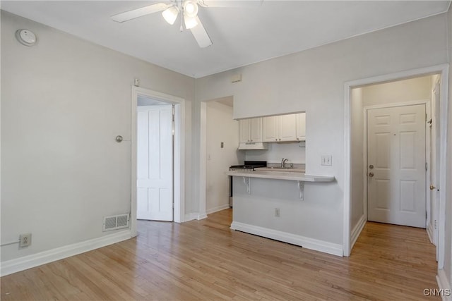 101 Comstock Ave, Syracuse, NY 13210 - kitchen with ceiling fan, light wood-style floors, under cabinet range hood, and white cabinetry