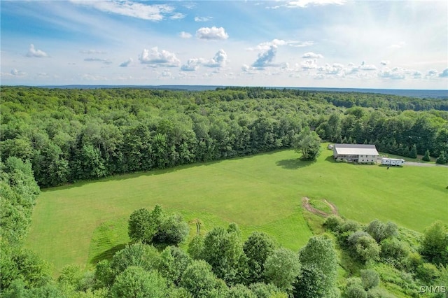 49 Cat Trl, Redfield, NY 13493 - photo 5