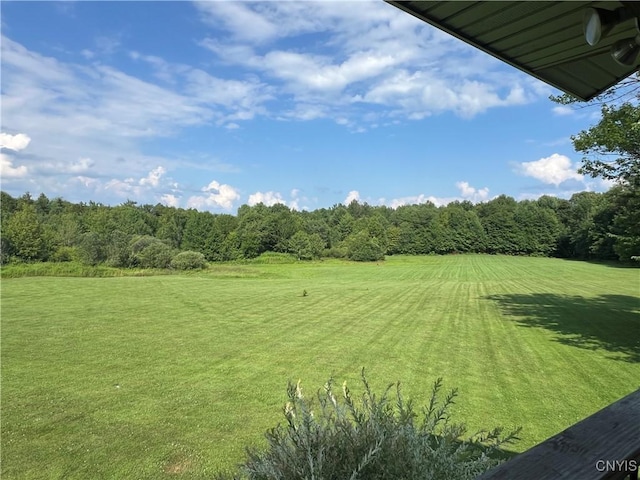 49 Cat Trl, Redfield, NY 13493 - photo 9