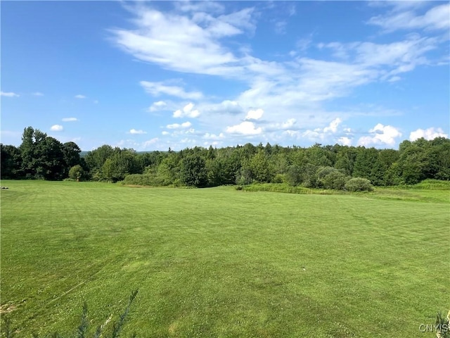 49 Cat Trl, Redfield, NY 13493 - photo 40