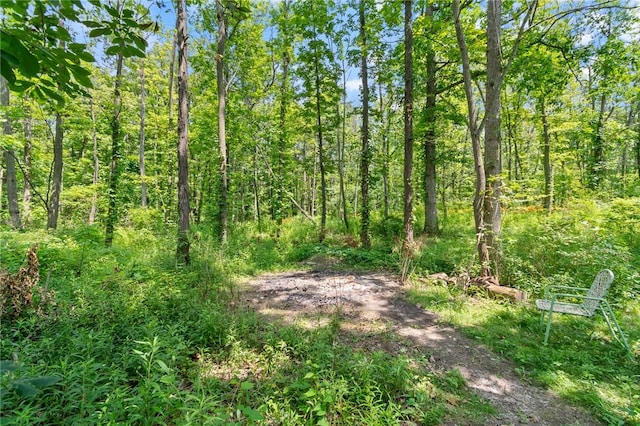 4967 County Road 37, Richmond, NY 14466 - photo 5