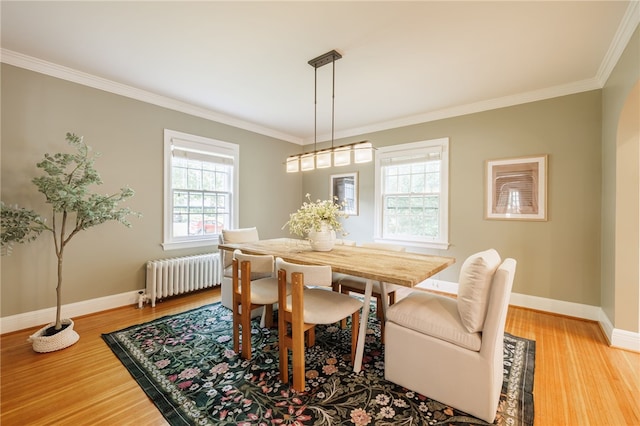 441 Claybourne Rd, Brighton, NY 14618 - dining room with radiator heating unit, crown molding, and light wood finished floors