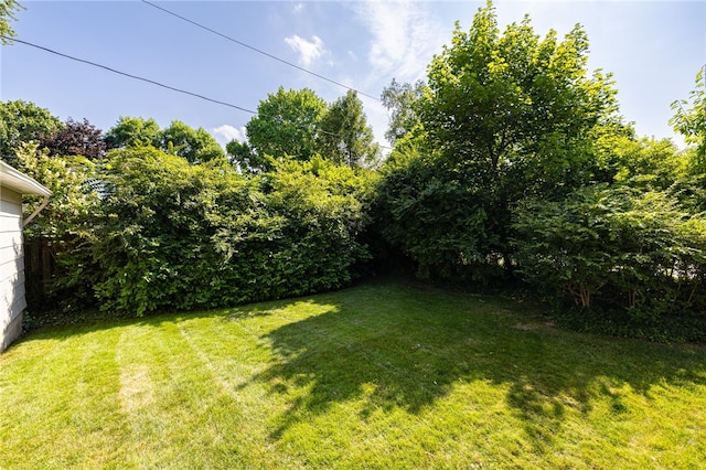 441 Claybourne Rd, Brighton, NY 14618 - view of green lawn