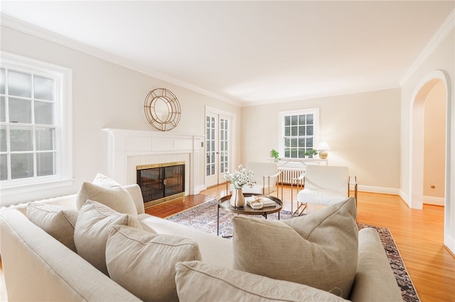 441 Claybourne Rd, Brighton, NY 14618 - living area featuring crown molding, light wood-type flooring, a glass covered fireplace, arched walkways, and radiator