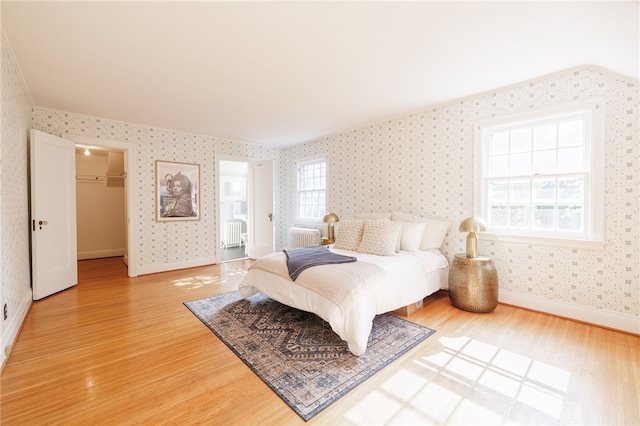 441 Claybourne Rd, Brighton, NY 14618 - bedroom featuring wallpapered walls, light wood-style flooring, radiator, and a spacious closet