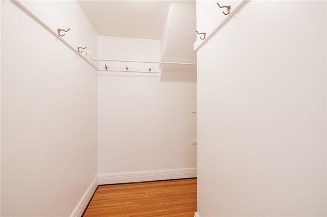 441 Claybourne Rd, Brighton, NY 14618 - walk in closet with light wood finished floors