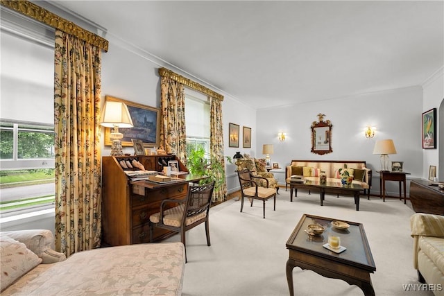 107 Oakland Pl Unit 1, Buffalo, NY 14222 - living room featuring crown molding, light carpet, and an office area