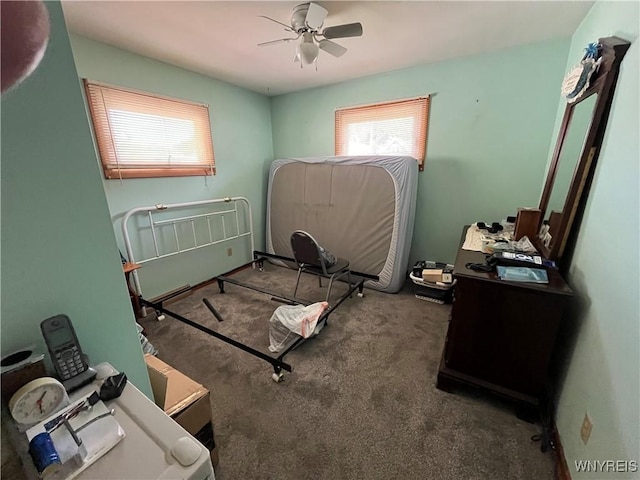 2461 Linwood Ave, Niagara Falls, NY 14305 - bedroom featuring carpet and a ceiling fan