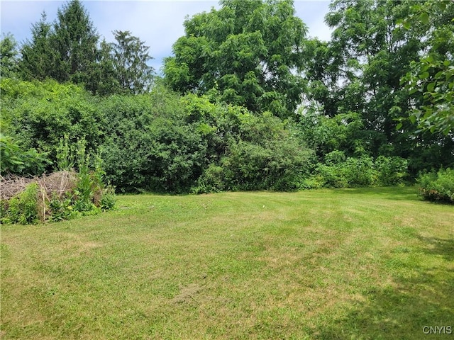 5465 Ridge Rd, Fleming, NY 13021 - view of green lawn